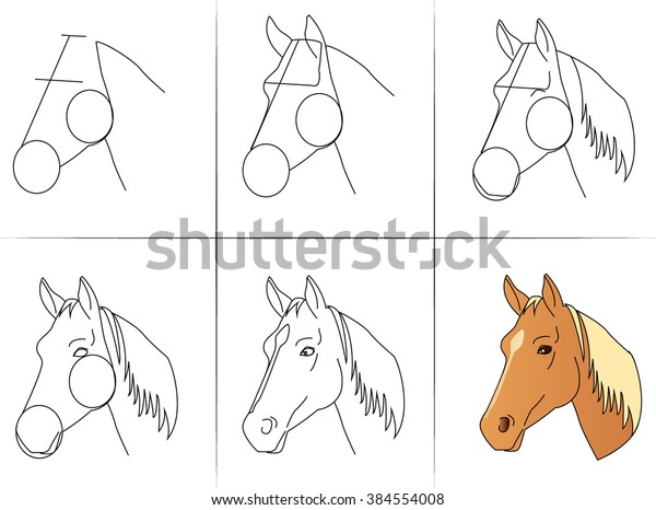 How To Draw A Horse Head Easy Step By Step ~ Drawing Tutorial Easy