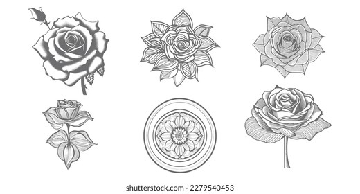 Six style Nice Roses Vector artwork coloring page, coloring book, leaves, black outline hand drew sketch. Vector element for natural, wedding design, plant, botanical illustration, coloring book, line