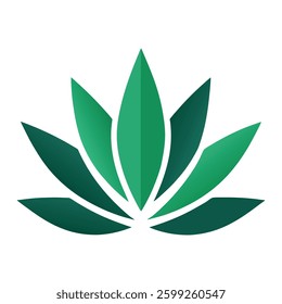 Six stylized agave logos in varying shades of teal and dark green.