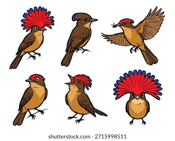 Seis ilustraciones estilizadas de pájaros, cada una con una prominente cresta roja, mostradas en varias poses y acciones.