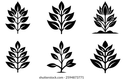 Six stylized plant icons in black and white.