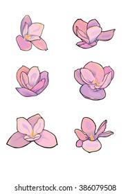 Six stylized vector magnolia flowers.