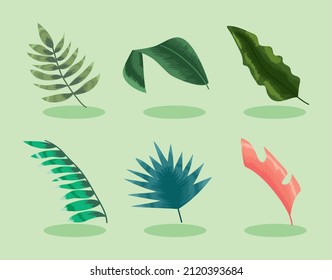 seis iconos de juego de hojas tropicales