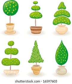 Six typical little garden trees in various shapes