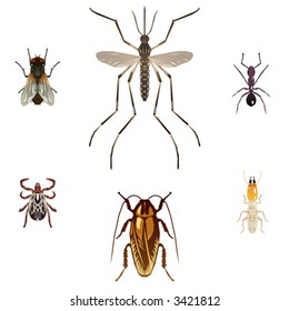 Six vector illustrations of pest insects: housefly, mosquito, ant, tick, cockroach and termite