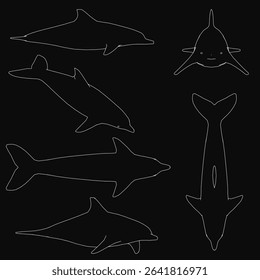 Six white-outlined dolphin stand out against a black background, creating a bold contrast. The set features clean, minimalist silhouettes with sharp details.