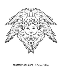 Six winged cherub cute winged curly smiling baby boy angel with rays of linght isolated over white background. Hand drawn design vector illustration