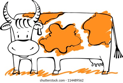 Six-legged cow