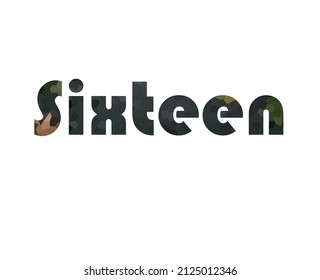 sixteen. Colorful typography text banner. Vector the word sixteen