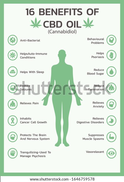 CBD Oil Benefits: Top Benefits That CBD Oil Provides - Mom and More