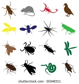 sixteen insects and rodents