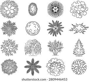 Sixteen top-down view of various tree species, showing diverse canopy textures and shapes for landscape and site planning.