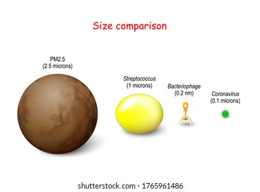 Size comparison between germ pm 2.5 (microscopic aerosol droplet created by a cough), Coronavirus (COVID-19 virus), Streptococcus bacteria, and Bacteriophage.