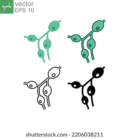 Size Increase Of The Lymph Nodes, Lympho Nodus Gland. Medical Symptoms Of Lymphoma, Lymphadenopathy Part Of Circulatory System. Lymph Nodes Icon. Vector Illustration. Design On White Background. EPS10