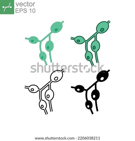 Size increase of the lymph nodes, lympho nodus gland. Medical symptoms of lymphoma, lymphadenopathy part of circulatory system. Lymph nodes icon. Vector illustration. Design on white background. EPS10
