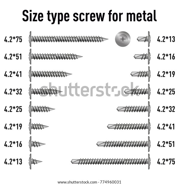 Size Type Metal Screw Stock Vector (Royalty Free) 774960031