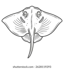 Skate Fish Illustration, Common Dipturus Batis Complex