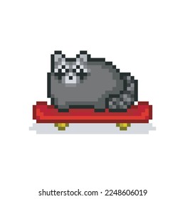 Skate raccoon, pixel art meme