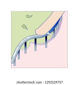Skate Vector Illustration