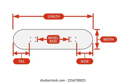 Skateboard size chart vector illustration