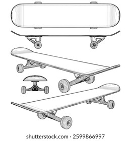 Skateboard Vector 12. Illustration Isolated On White Background. A Vector Illustration Of Skate Board.