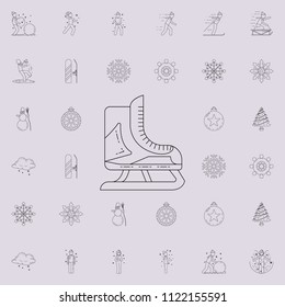 skates icon. Detailed set of Winter icons. Premium quality graphic design sign. One of the collection icons for websites, web design, mobile app on colored background