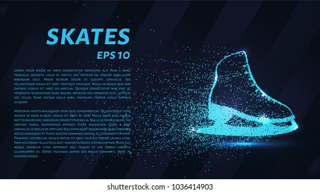 Skates of particles. Skates consists of circles and points.