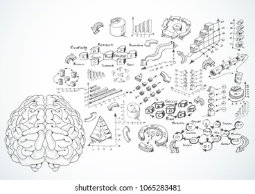 Skecth brain,  Plan Business with graph -  modern Idea and Concept Vector illustration Business.