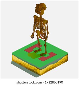 Skelet Skull 3d Design Isometric