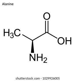 Skeletal formula of Alanine. amino acid molecule. 	
