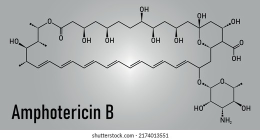 Skeletal Formula Amphotericin B Antifungal Drug Stock Vector (Royalty ...