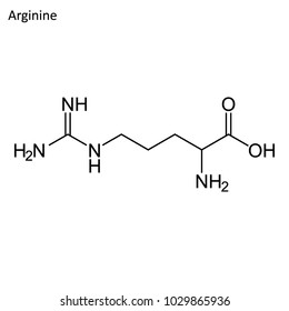 Skeletal formula of Arginine. amino acid molecule. 