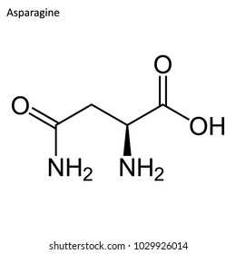 Skeletal formula of Asparagine. amino acid molecule. 	
