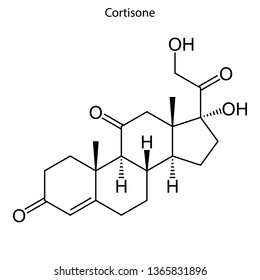 Skeletal formula of Cortisone. Steroid molecule.