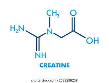 Skeletal Formula of Creatine Showing Nitrogen, Hydrogen, Carbon and Oxygen Atoms