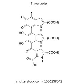 Skeletal formula of Eumelanin. Chemical molecule.