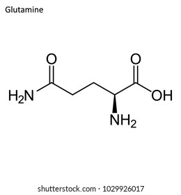 Skeletal formula of Glutamine. amino acid molecule. 	
