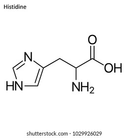 Skeletal formula of Histidine. amino acid molecule. 	
