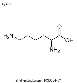 Skeletal formula of Lysine. Amino acid molecule