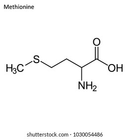 Skeletal formula of Methionine. Amino acid molecule