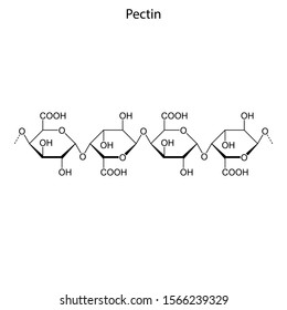 Skeletal Formula Of Pectin. Chemical Molecule.