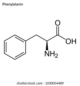 Skeletal formula of Phenylalanine. Amino acid molecule