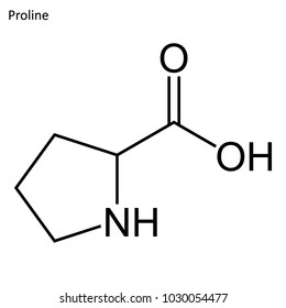 Skeletal formula of Proline. Amino acid molecule