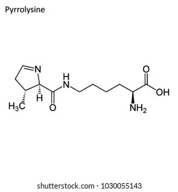 Skeletal formula of Pyrrolysine. Amino acid molecule