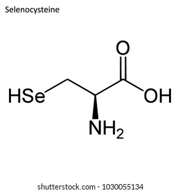 Skeletal formula of Selenocysteine. Amino acid molecule