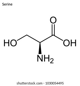 Skeletal formula of Serine. Amino acid molecule