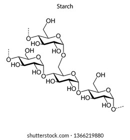 Skeletal Formula Of Starch. Chemical Molecule.