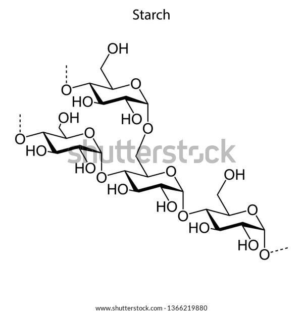 Skeletal Formula Starch Chemical Molecule Stock Vector Royalty Free 1366219880