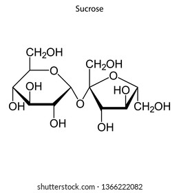 Skeletal formula of Sucrose. chemical molecule.