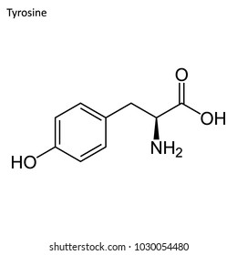 Skeletal formula of Tyrosine. Amino acid molecule